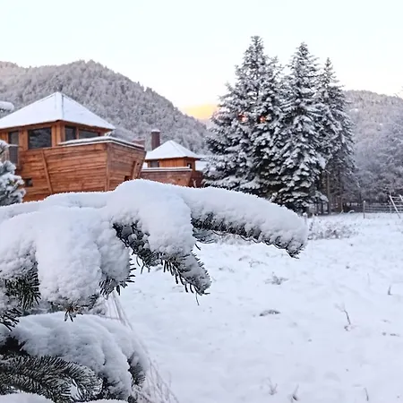 Escale Cab'ane ホリデーパーク Mittlach