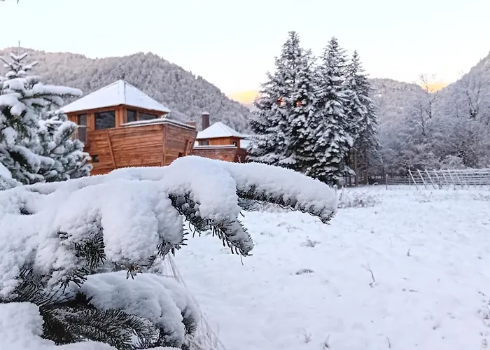 Escale Cab'ane ホリデーパーク Mittlach